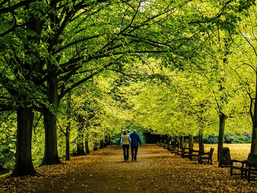 5 Free Date Ideas In Louisville